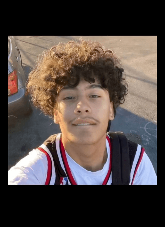 Curly Cool ๐